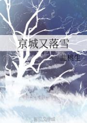 男主女主是梁如,杨绍,沈铮的小说是什么_京城又落雪