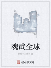 男主女主是杨东,李瑶,维妮的小说是什么_魂武全球