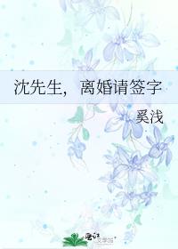 沈先生离婚请签字全本免费_沈先生，离婚请签字