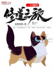 韩越苏静《一只猫的修道之旅》_一只猫的修道之旅