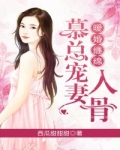 暖婚缠绵，慕总宠妻入骨_暖婚缠绵，慕总宠妻入骨