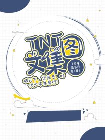 小说《TNT图文集》TXT下载_TNT图文集