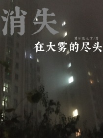 男主女主是惜文,刘林,宋南星的小说是什么_消失在大雾的尽头