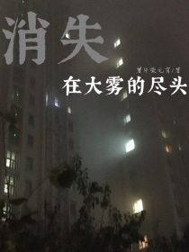 小说《消失在大雾的尽头》TXT下载_消失在大雾的尽头