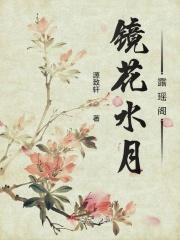 萧元薛贻《镜花水月露瑶阁》_镜花水月露瑶阁