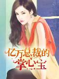男主女主是叶凌捷,杨诺,郑廷的小说是什么_亿万总裁的掌心宝