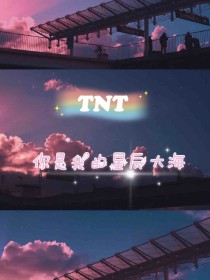 TNT——你是我的星辰大海_TNT——你是我的星辰大海