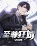 至尊狂婿小说完整版_至尊狂婿