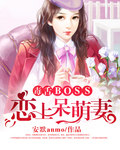 乐乐沈明承《毒舌BOSS恋上呆萌妻》_毒舌BOSS恋上呆萌妻