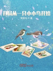 男主女主是陆涛,夏衍,关鑫的小说是什么_开局从一只小小鸟开始