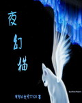 男主女主是林枫,张勇,张翠琴的小说是什么_夜幻猫