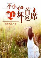 男主女主是秦岚,冯贝妮,陆菲儿的小说是什么_一不小心撞上坏首席