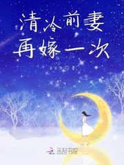 男主女主是陆瑾皓,诺诺,叶辰枫的小说是什么_清冷前妻再嫁一次