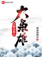 小说《全职法师之大枭雄》TXT下载_全职法师之大枭雄