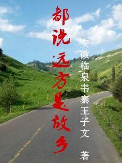 男主女主是香芳,赵协,居里的小说是什么_都说远方是故乡