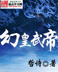 [小说]《幻皇武帝》全集  作者:哲诗 这是一个由武者、幻术师、驯兽师构成的神奇大陆。 天生眼盲却拥有幻瞳的_幻皇武帝