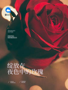 小说《绽放在夜色中的玫瑰》TXT下载_蓝心顾忆深