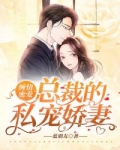 男主女主是霍思璇,程翊,秦闵熙的小说是什么_缠情蜜爱：总裁的私宠娇妻