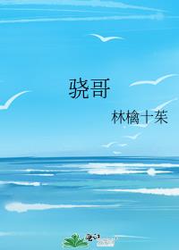 男主女主是薛琳娜,徐晓,庄雅雯的小说是什么_骁哥