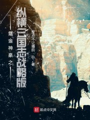 三国志战略版之小说_氪金神豪之纵横三国志战略版