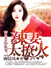 男主女主是席靳墨,米琪儿,陆哲镐的小说是什么_BOSS的私宠：辣妻，太撩火