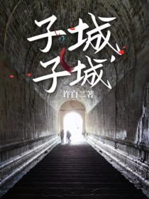 小说《子城，子城》TXT下载_子城，子城