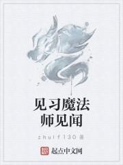 见习魔法师小说_见习魔法师见闻