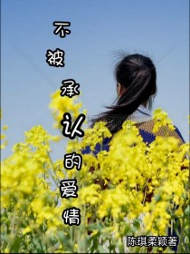 男主女主是龙英,刘乔书,姚元发的小说是什么_不被承认的爱情