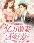 小说《盛世暖婚：亿万前妻不好惹》TXT百度云_盛世暖婚：亿万前妻不好惹