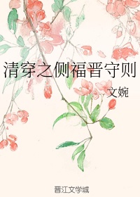 男主女主是布木布泰,高若兰,弘历的小说是什么_清穿之侧福晋守则