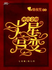男主女主是林聪,叶辉,林宫银的小说是什么_神兽金刚之七星宫变