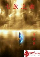 男主女主是杨泽,严峰,雷震的小说是什么_七族之密