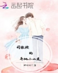 男主女主是陆妍,司景琛,宗燕的小说是什么_司教授的异地小女友