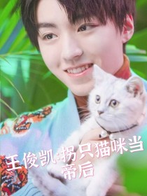 小说《王俊凯：拐只猫咪当帝后》TXT下载_王俊凯：拐只猫咪当帝后