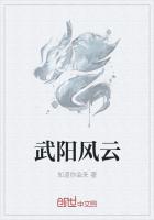 男主女主是刘东明,柳孝杰,陈婷的小说是什么_武阳风云