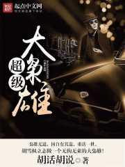 男主女主是胡雪枫,林澜,郑秀同的小说是什么_超级大枭雄