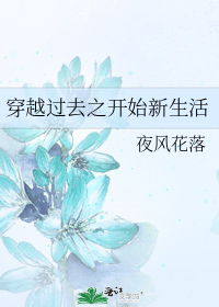 男主女主是宁祁语,陈宇,卫老的小说是什么_穿越过去之开始新生活