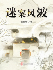 男主女主是李大为,佟川,夏雪的小说是什么_迷案风波