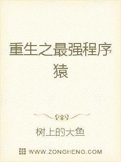 男主女主是王欣,廖启城,黄燕萍的小说是什么_重生之最强程序猿