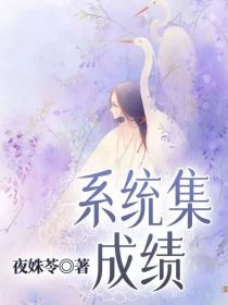 蓝颜崔颜《系统集成绩》_系统集成绩