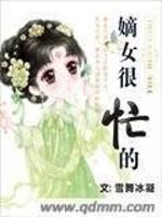 男主女主是宇文,琳琅,刘氏的小说是什么_嫡女很忙的