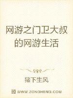 男主女主是林新,苏欣,萧晓的小说是什么_网游之小保安网游生活