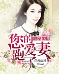 男主女主是顾瑾,安琳,叶修的小说是什么_报告总裁：您的爱妻跑了