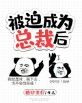 《被迫成为总裁后》作者：糖炒栗籽【完结+番外】【文案】季怀瑜只想做个风流纨绔的豪门二少，没想到一场意_被迫成为总裁后