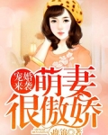 小说《宠婚来袭：萌妻很傲娇》TXT百度云_宠婚来袭：萌妻很傲娇