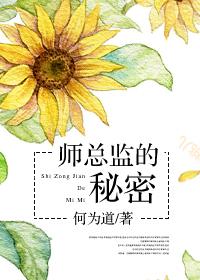 小说《师总监的秘密》TXT下载_师总监的秘密