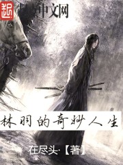 小说《林羽的奇妙人生》TXT下载_林羽的奇妙人生