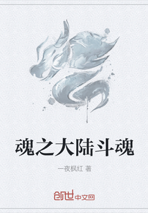 男主女主是薛凡,岳鹏,赵坤的小说是什么_魂之大陆斗魂