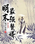 公元1621年，天启年间，京城，夏季，伴晚。陆南缓缓睁开眼睛，一时感觉头疼剧烈，忍不住叫喊了一声。眼_明末最强赘婿