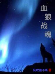 男主女主是杨诗琪,徐健,白羽的小说是什么_血狼战魂